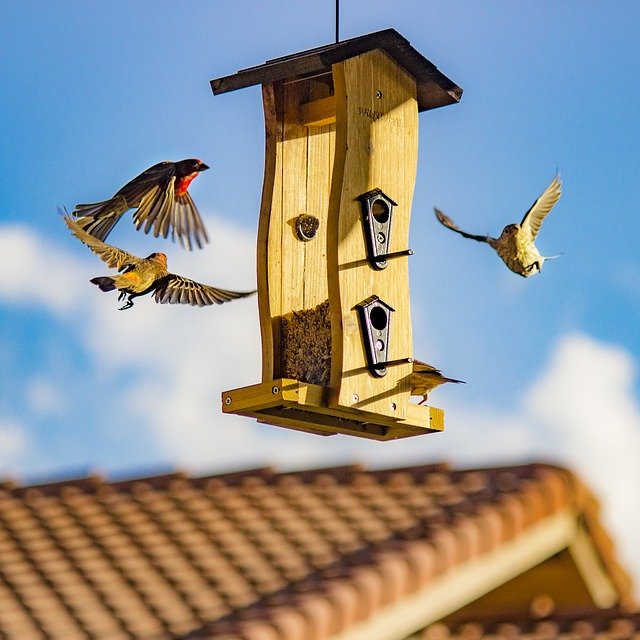 Read more about the article Check Out These Great Roofing Tips Today