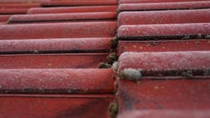 Read more about the article What Everyone Ought To Know About Roofing