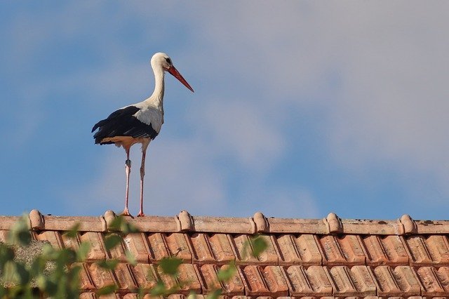 You are currently viewing Excellent Advice On Taking Care Of Your Roof