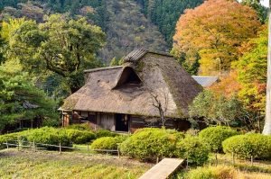 Read more about the article Roofing Advice That Everyone Ought To Read