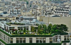 Read more about the article Tips To Help You Get The Most Out Of Your New Roof
