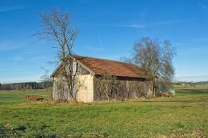 Read more about the article Tips You Can Use With Your New Roof
