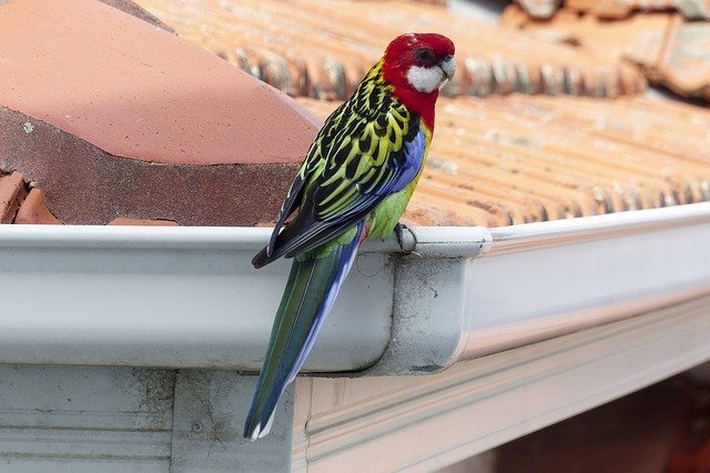 You are currently viewing Important Knowledge On Properly Fixing Your Roof