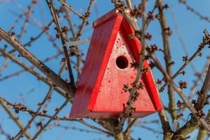 Read more about the article Excellent Advice On Taking Care Of Your Roof
