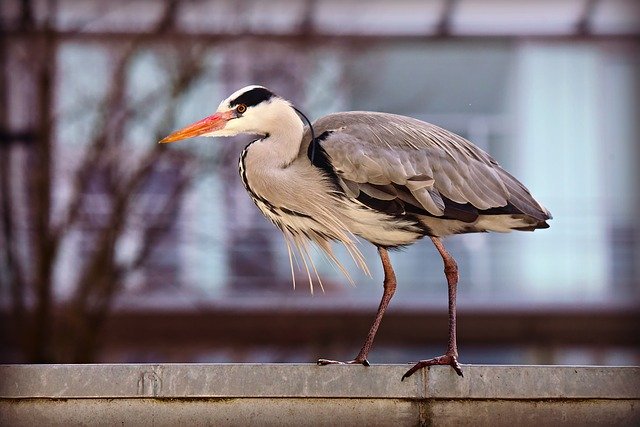 Read more about the article Roofing Tips That Can Really Help You Out