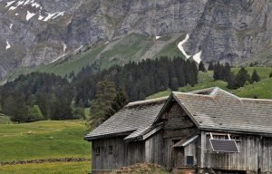 Read more about the article Tips To Help You Get The Most Out Of Your New Roof