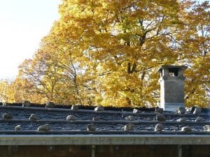 Read more about the article Roofing 101: How To Choose The Perfect Contractor