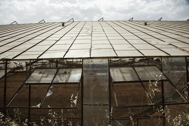 Read more about the article Roofing Tips That Can Make Your Life Easier