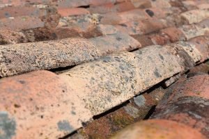 Read more about the article Some Quick Roof Tips That Will Help Your Home