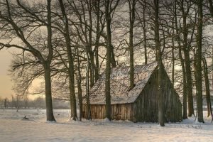Read more about the article Need A New Roof? Find Great Information Here.