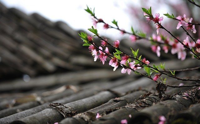 Read more about the article Good Roofing Tips Straight From The Professionals