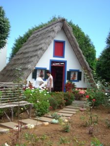 Read more about the article Great Advice For Keeping Your Roof In Terrific Shape