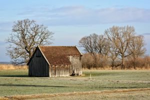 Read more about the article Roofing Tips That Can Help You Out