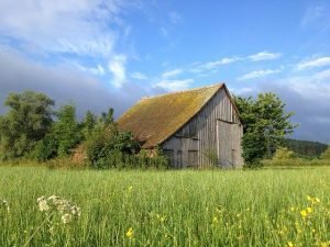 Read more about the article Roofing Tips That Everybody Should Know About