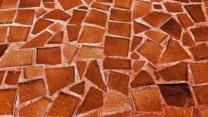 Read more about the article What You Ought To Know About Carpet Cleaners